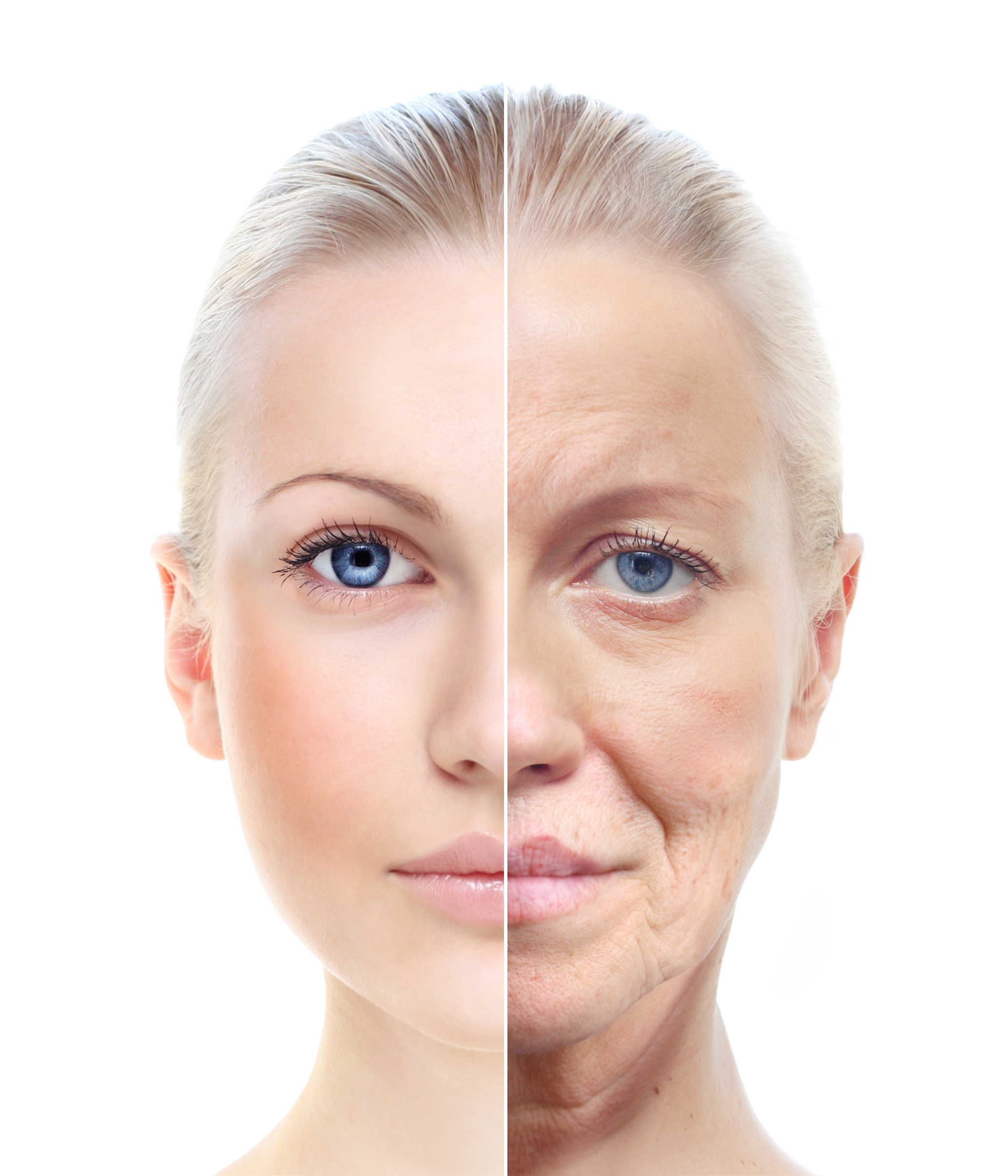 Collagen is the Fountain of Youth